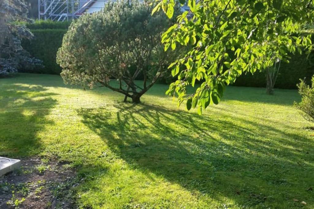 Splendid And Quiet Studio Surrounded By Green Geneva